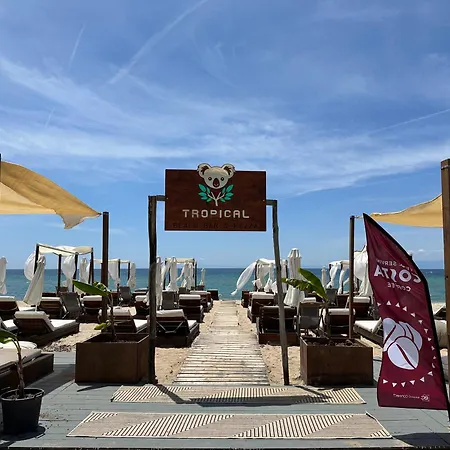 Tropical Флогита